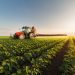Exportações do agronegócio caem 5,6% em fevereiro