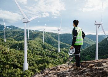 Greenjobs: as mudanças e oportunidades na carreira em sustentabilidade no Brasil