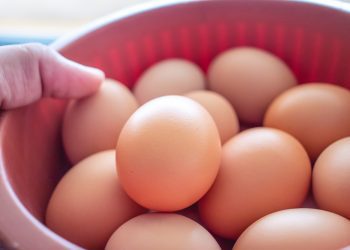 Mantiqueira anuncia aquisição da Hickman's Egg Rach e firma expansão nos EUA