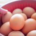 Mantiqueira anuncia aquisição da Hickman's Egg Rach e firma expansão nos EUA