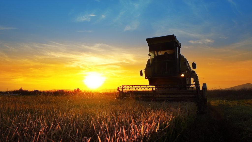 Agrishow: Santander prevê R$ 2 bi em negócios, com aposta em consórcio e taxas pré-fixadas