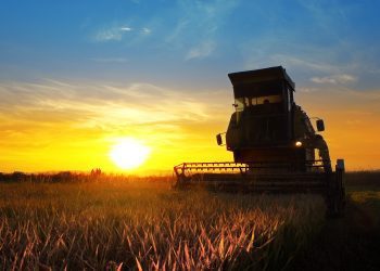 Agrishow: Santander prevê R$ 2 bi em negócios, com aposta em consórcio e taxas pré-fixadas