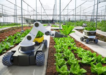 O que vou encontrar na praça de alimentação em 2030?