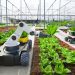 O que vou encontrar na praça de alimentação em 2030?