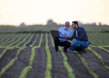 Brasil tem de procurar negociação com EUA de forma primordial, diz ministro da Agricultura
