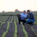 Brasil tem de procurar negociação com EUA de forma primordial, diz ministro da Agricultura