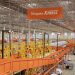 Shopee aumenta capilaridade com novos Centros de Distribuição no Nordeste