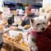 Petland