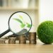 A sustentabilidade como aliada do lucro em Negócios de Impacto Socioambiental