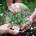 Consumidor valoriza selo de sustentabilidade nas embalagens de delivery