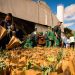 Center Norte impacta mais de 1.800 pessoas em projeto de gestão de resíduos