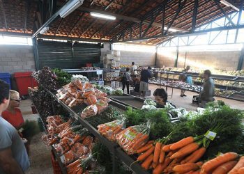 Preços da cenoura e do mamão caem nos principais mercados atacadistas