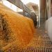 Após 6 anos, Conab retoma política de estoques públicos de alimentos