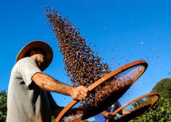 Agricultura familiar terá juros mais baixos para produção de alimentos