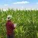 Ipea revisa crescimento do PIB agro para 2023 de 11,6% para 13,2%