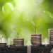 Crescera e Triaxis recebem inscrições para novo fundo para startups focado em ESG
