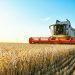 Agrishow 2026: fabricantes apontam desafios para chineses