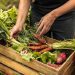 Programa de aquisição de alimentos: Conab recebe propostas que somam R$ 1,1 bi