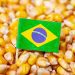 ApexBrasil lança projeto para promover exportações de farelo de milho