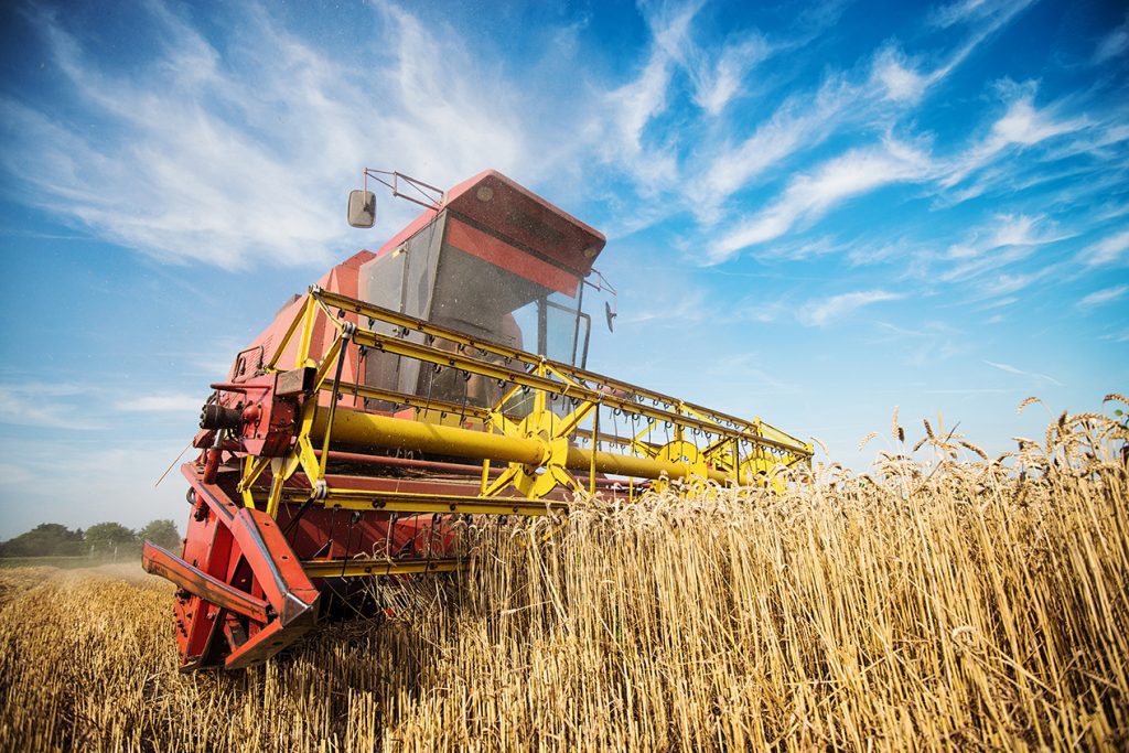 Banco do Brasil desembolsou mais de R$ 115 bi em 2023 em crédito rural