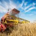 Banco do Brasil desembolsou mais de R$ 115 bi em 2023 em crédito rural