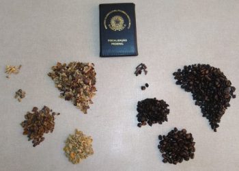 Café: Agricultura recolhe oito lotes de produtos irregulares