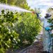 Ministro da Agricultura defende alimentos seguros com cada vez menos pesticidas