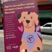 Mocotó, em colaboração com a GranPlus, se adapta para receber pets