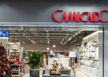 Camicado