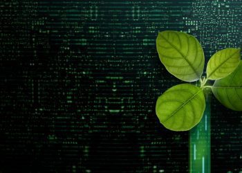 Consumidor sustentável pode fazer a diferença no futuro do mercado