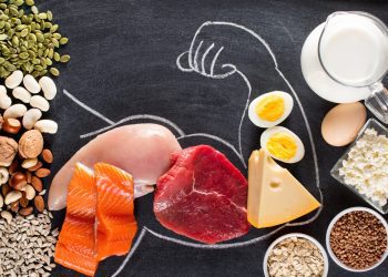 Proteínas representam quase metade do que é consumido pelo brasileiro