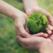 Inovação verde desacelera nos últimos anos e fica mais lenta em países mais pobres