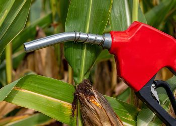 Neomille recebe autorização da ANP para iniciar produção de etanol na nova fábrica em Maracaju (MS)