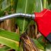 Neomille recebe autorização da ANP para iniciar produção de etanol na nova fábrica em Maracaju (MS)