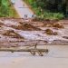 Brumadinho