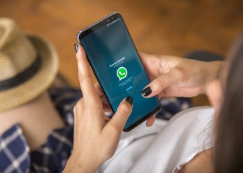 Serasa Experian vai lançar agente de IA para PMEs no WhatsApp