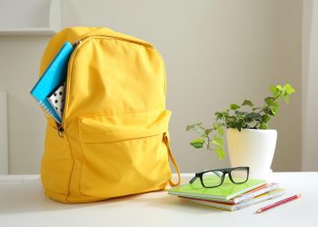 PMEs online já faturaram R$ 1,4 milhão com a volta às aulas em 2024