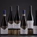 Domno Wines agrega mais três vinícolas italianas ao portfólio