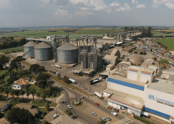 Castrolanda fatura 7,4% menos em 2023, mas distribuirá R$ 57,4 milhões em sobras