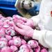 Grupo Marilan adquire Top Cau e passa a atuar no mercado de chocolates