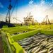 Frescatto e Prime Seafood concretizam maior fusão da história do setor de pescados no Brasil