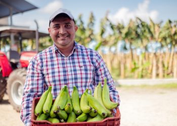 https://abrafrutas.org/