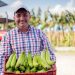 https://abrafrutas.org/