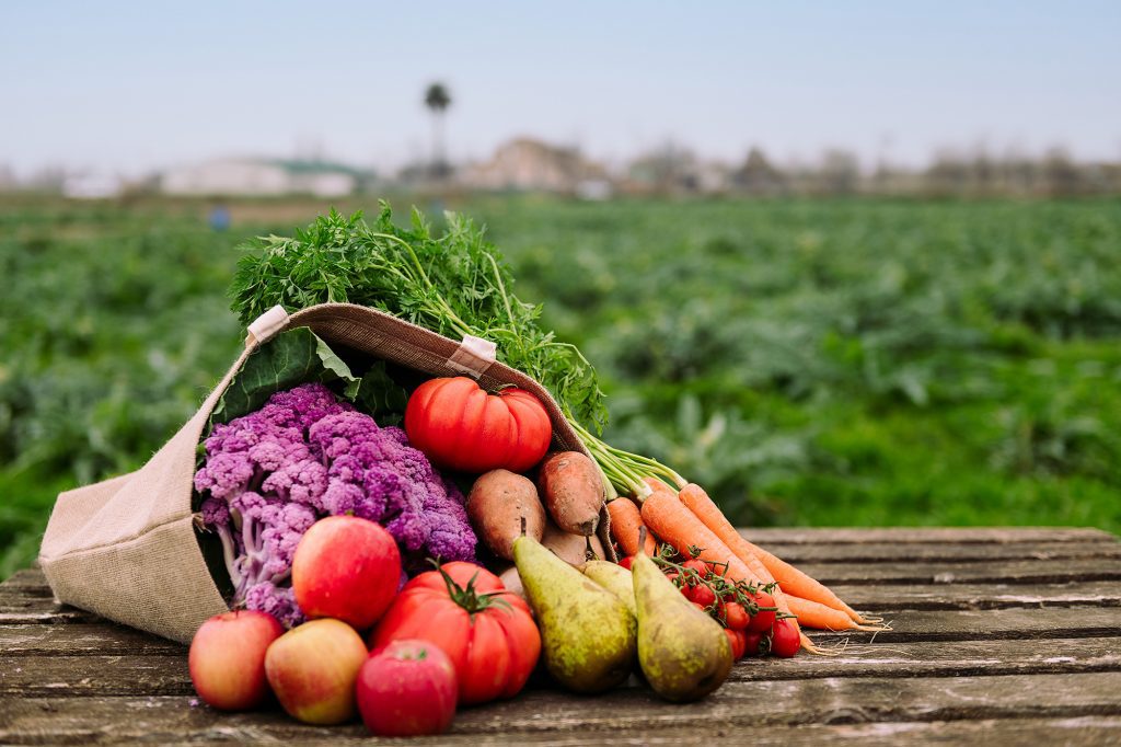 Alimentação sustentável: entre a teoria e a prática, um chamado para atitudes conscientes