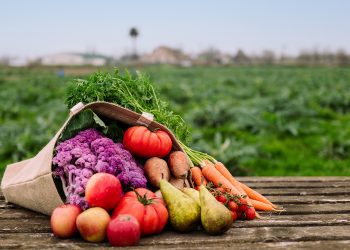 Exportações de alimentos caem em agosto por causa de tarifaço dos EUA