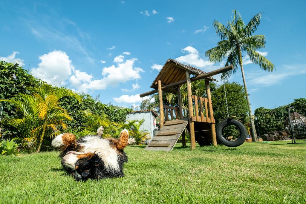 Villa Ayê lança medelo de franquia de pousada boutique 100% pet friendly