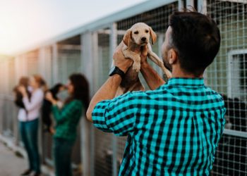 Shopee faz parceria com a ONG Anjo de Patas para promover a adoção consciente