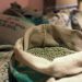 Cecafé: Gargalos logísticos seguraram 1,7 milhão de sacas de café nos portos, sem embarque