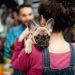 Nestlé Purina seleciona startup brasileira para seu programa de inovação no setor pet