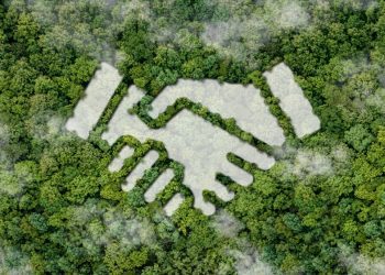Líderes concordam que a sustentabilidade é central para suas estratégias de negócios